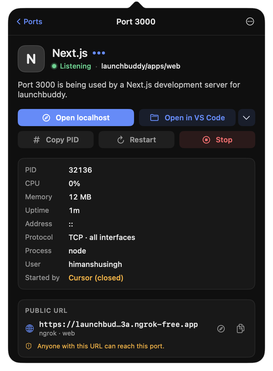 Port 3000 opened in DevPort: Next.js, the launchbuddy project, its process, memory and uptime.
