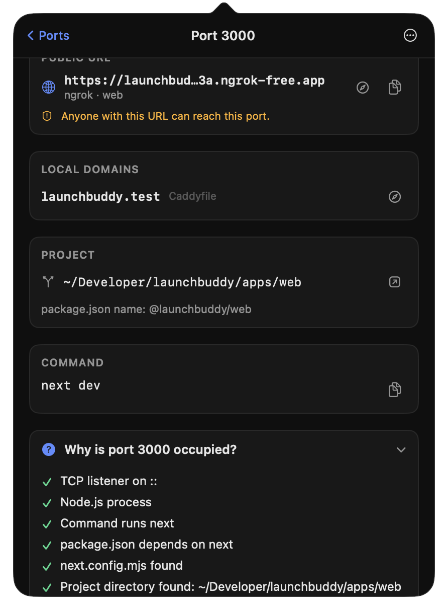 Port 3000 detail: public URL warning, local domain, project path, command and a checklist explaining why the port is occupied.